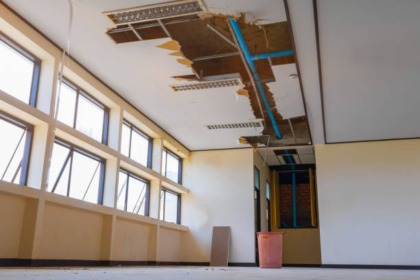 Best Water damage restoration mold remediation  in Vass, NC