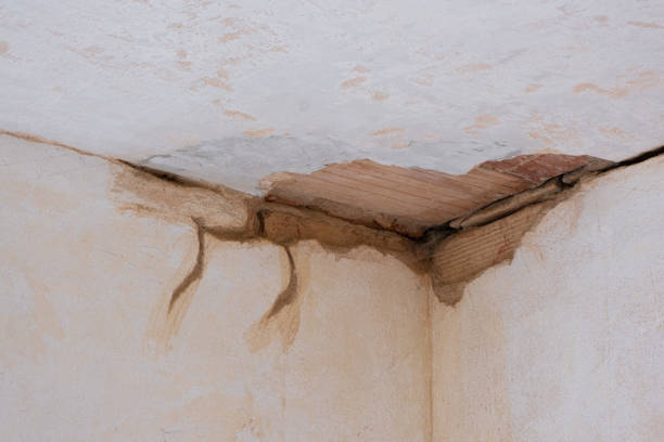 Best Commercial water damage restoration  in Vass, NC