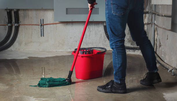 Best Water damage contractors near me  in Vass, NC