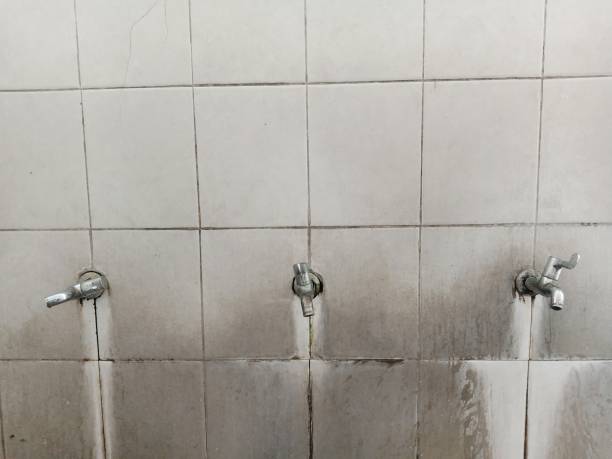 Best Water damage restoration process  in Vass, NC