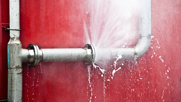 Best Carpet water damage restoration  in Vass, NC